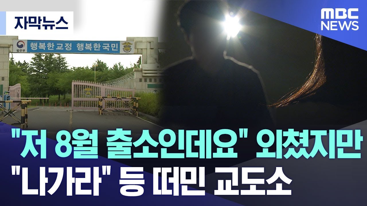 [자막뉴스] 