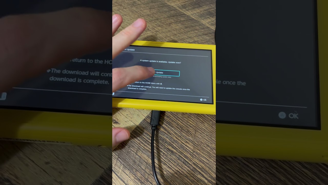 Trying To Update My Switch Lite