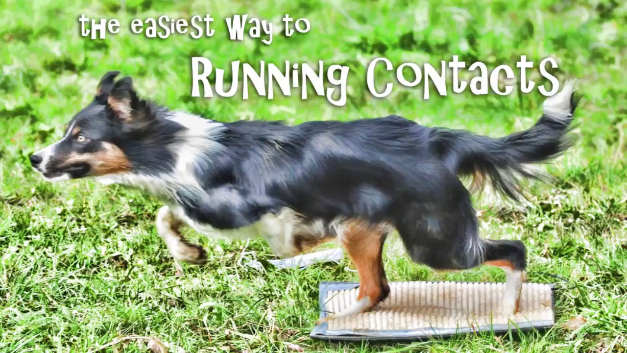 The Easiest Way to Running Contacts DVD trailer