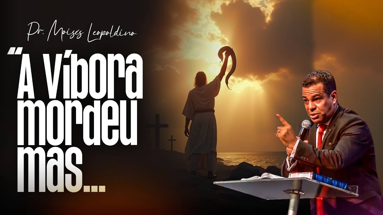 Naufrágio, Víbora e Fogo: Como Sobreviver Até o Propósito se Cumprir