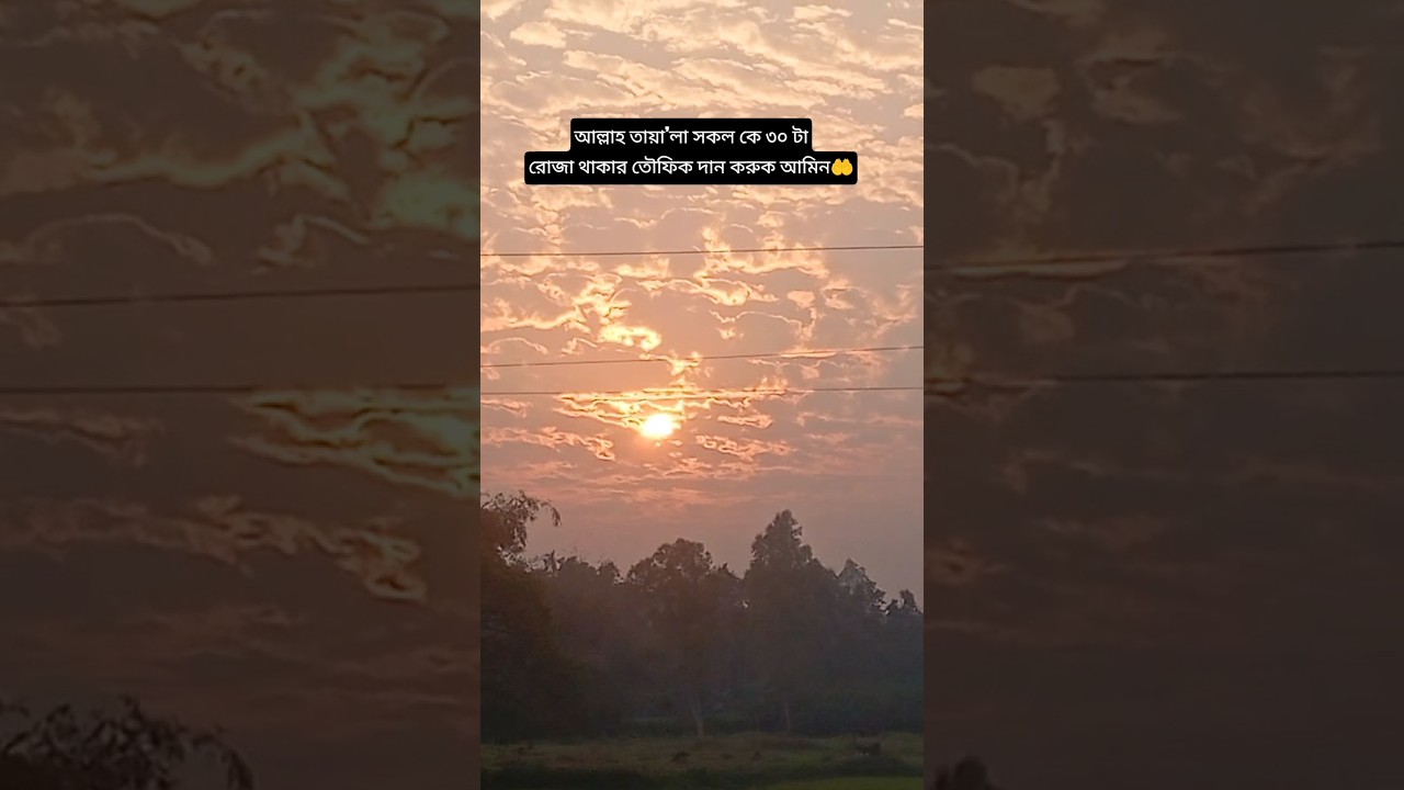 আলহামদুলিল্লাহ সব কয়টা রোজা রাখার তৌফিক আল্লাহ তায়া’লা আমাকে দিয়েছেন#alhamdulillah #shorts