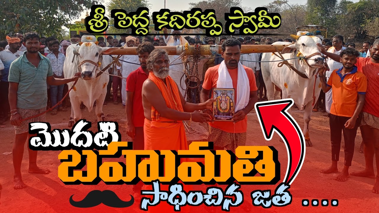 శ్రీ పెద్ద కద్దిరప్ప కొండ పై మొదటి 🥇 బహుమతి వచ్చిన జత - న్యూ కేటగిరీ - వెంకటం పల్లి గ్రామం గుంతకల్లు