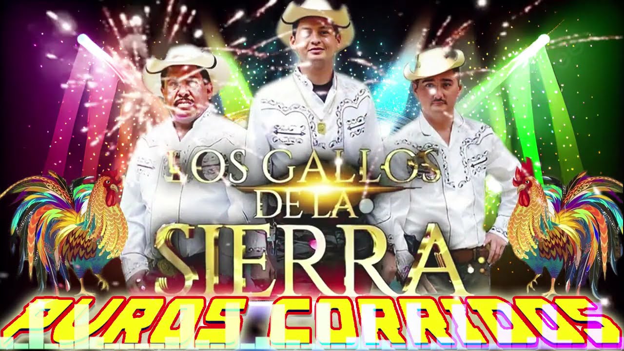 Los Gallos De La Sierra || Top Exitos Canciones Inmortales corridos y rancheras exitos 2023