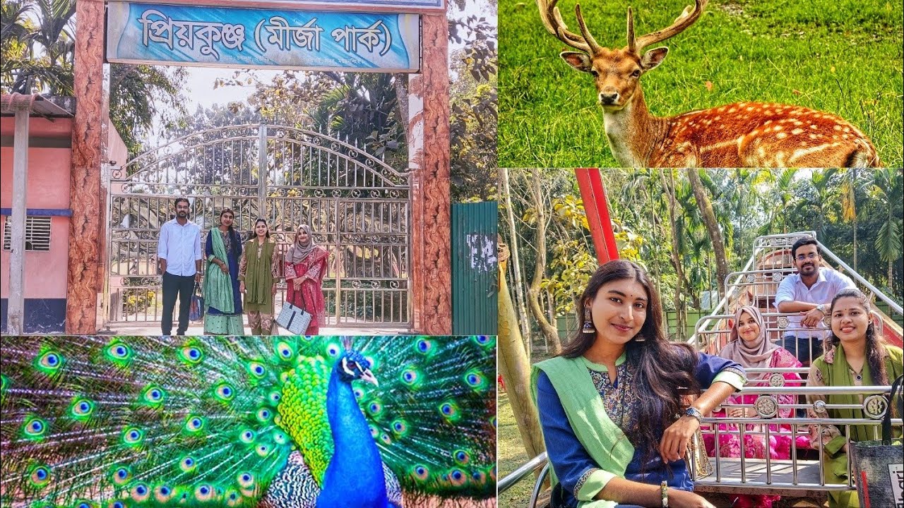 প্রিয় কুঞ্জ মির্জা পার্ক এন্ড রিসোর্ট, চুরখাই, ময়মনসিংহ।। 