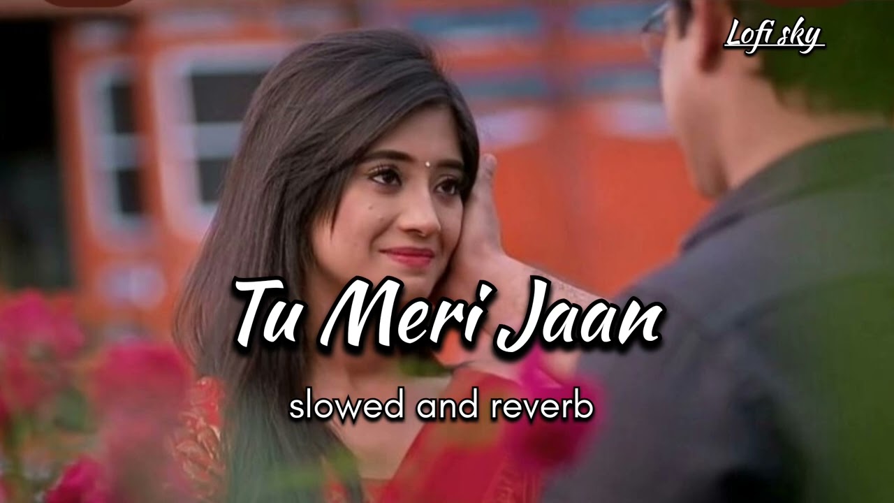 Tu Meri Jaan || Slowed and reverb || Ai lofi song || love lofi song || in 2026