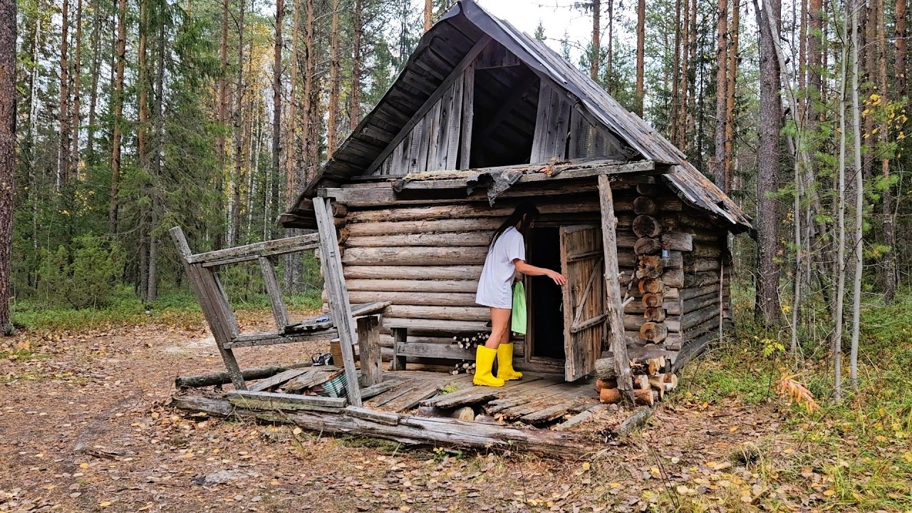 ПЯТЬ ДНЕЙ в ИЗБЕ в ДИКОЙ ТАЙГЕ. КУПАЮСЬ, РАБОТАЮ, ЖИВУ и НАСЛАЖДАЮСЬ!