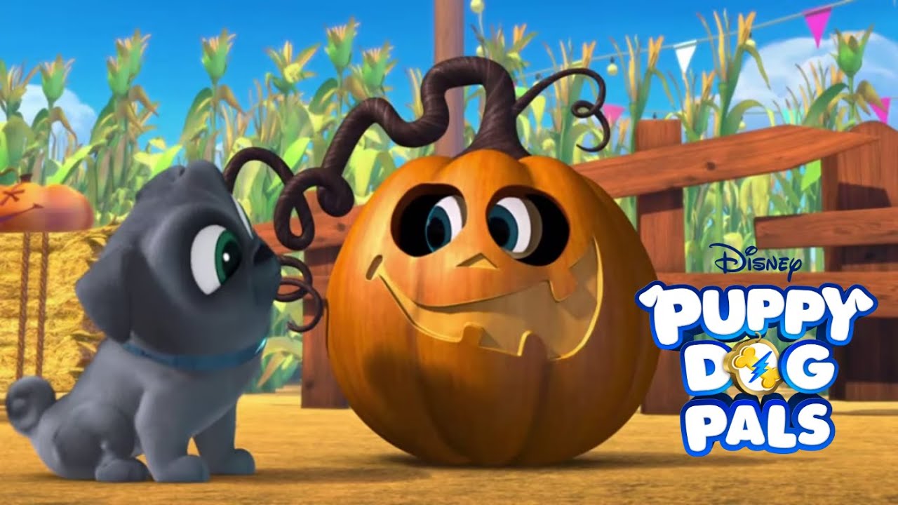 Return to the Pumpkin Patch 🎃 | Puppy Dog Pals | Clip
