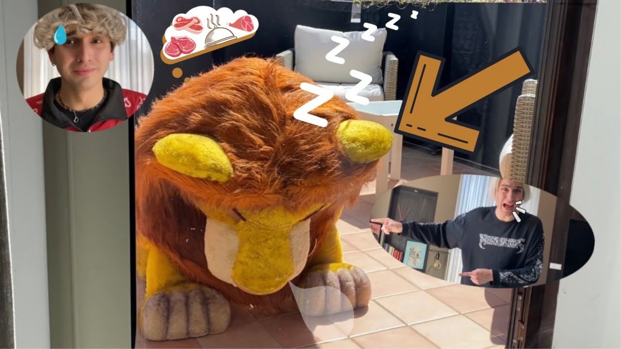 UN LEONE SELVATICO CERCA DI ENTRARE IN CASA NOSTRA...*che paura*