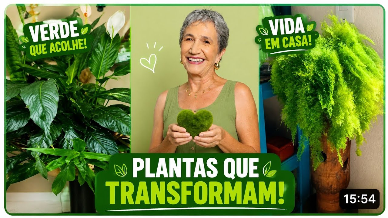 Plantas que ficam dentro da minha casa.💚