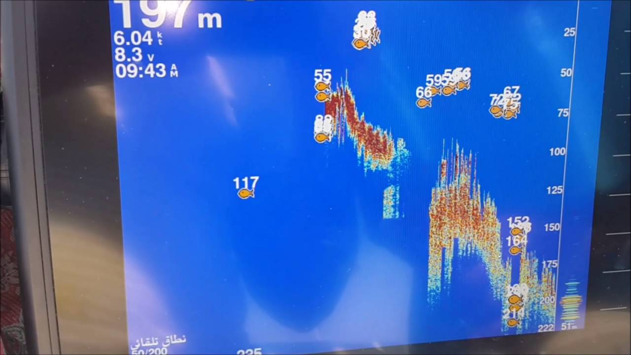 3D FISH FINDER  فيش فايندر ثلاثي الابعاد
