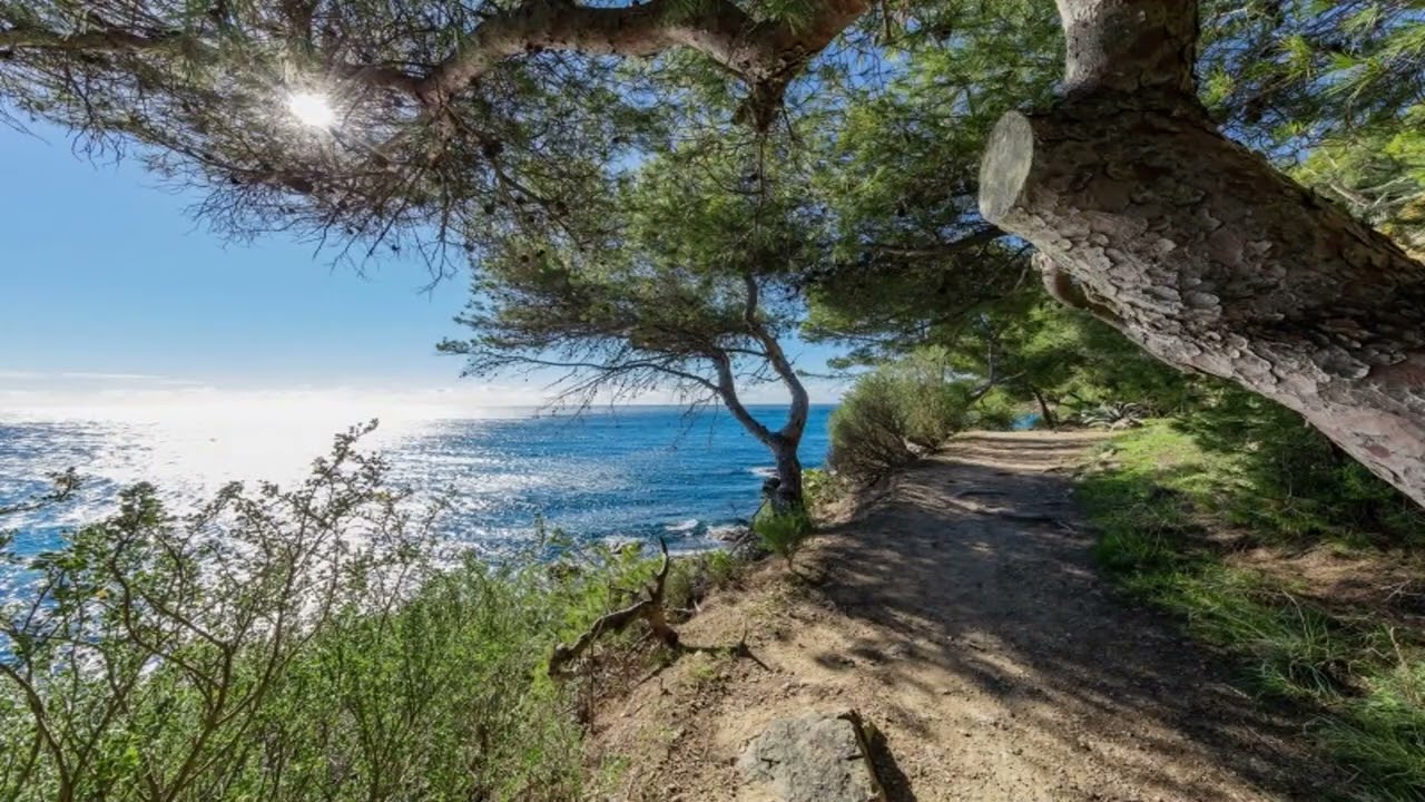 S&eacute;jour &agrave; Saint Mandrier sur mer