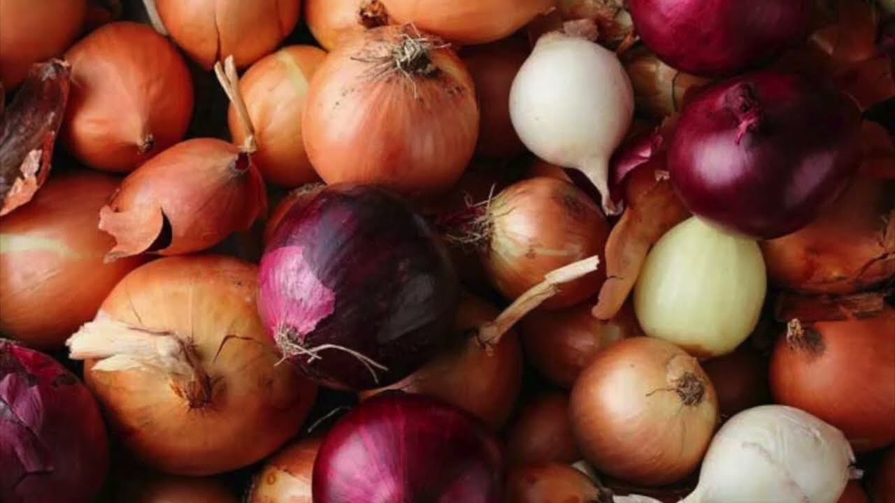 Onions, the Soul and Its Purification 