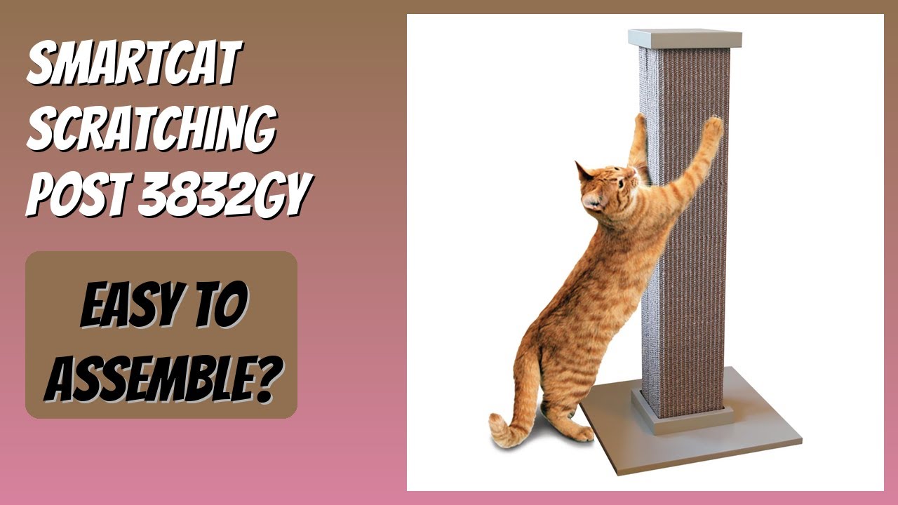 REVIEW (2026): SmartCat Scratching Post 3832GY. Features