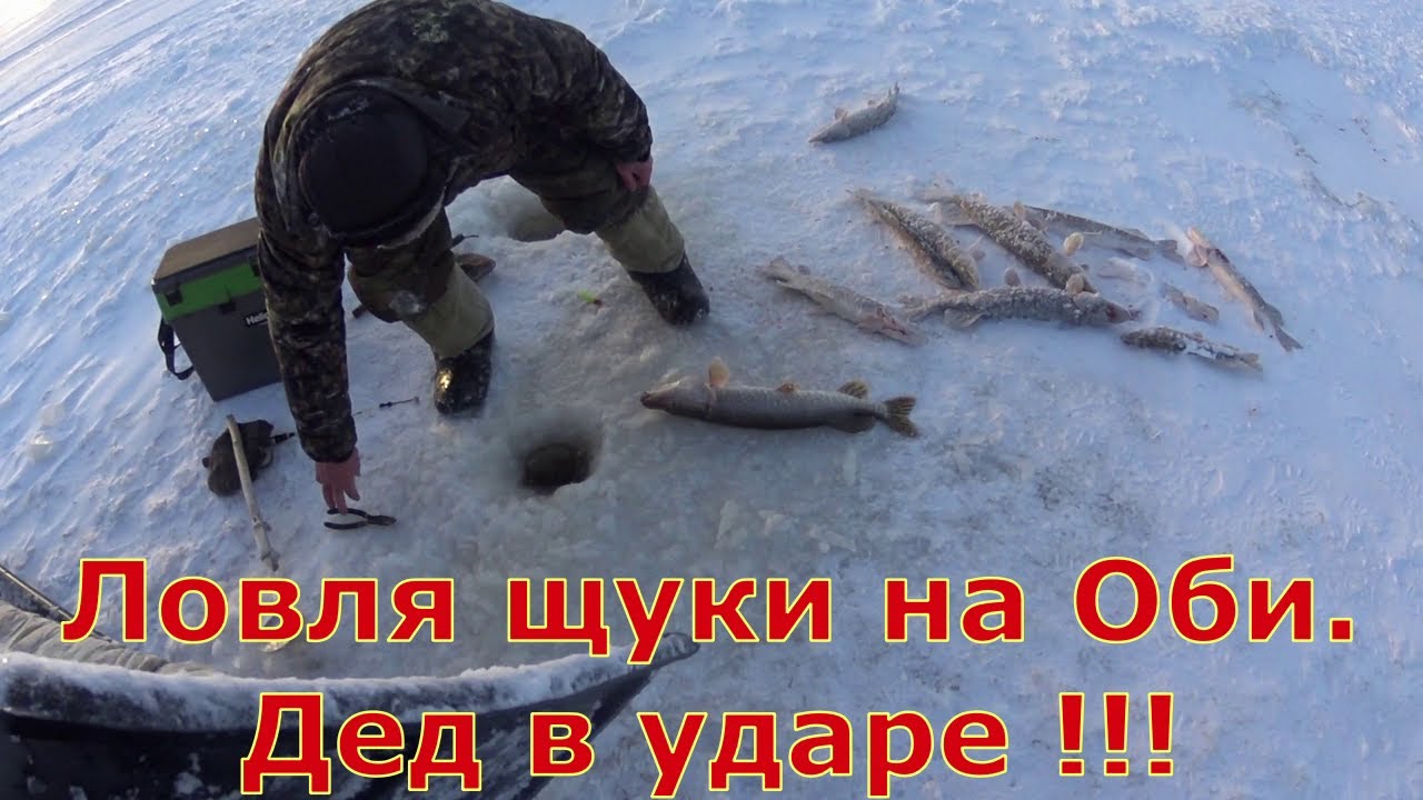 Открытие сезона 2023-24 на Оби  .Налим, щука ,нельма на VIB  и джиг.