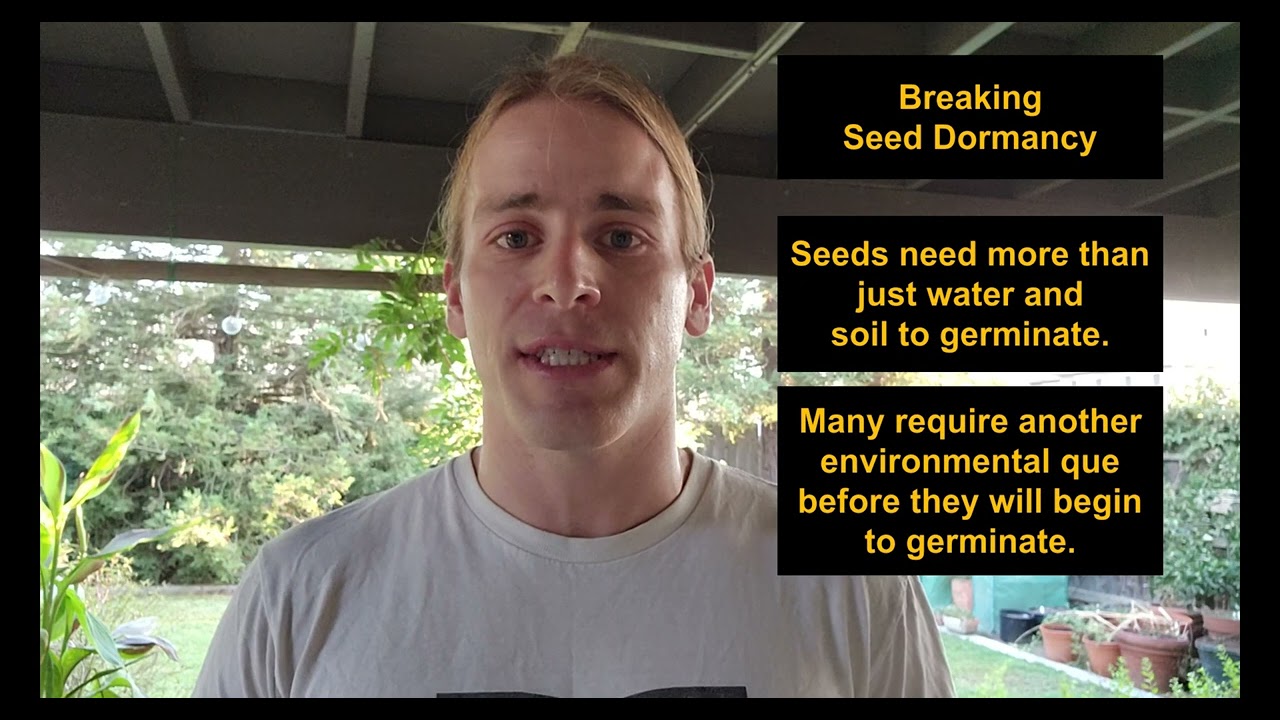 0066 Breaking Seed Dormancy