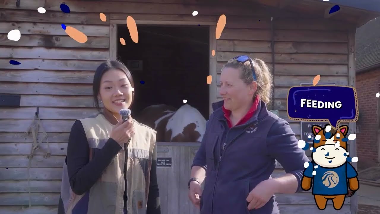 How Are Horses Fed Each Day🐴 | A First Look Inside Trent Park Equestrian Centre