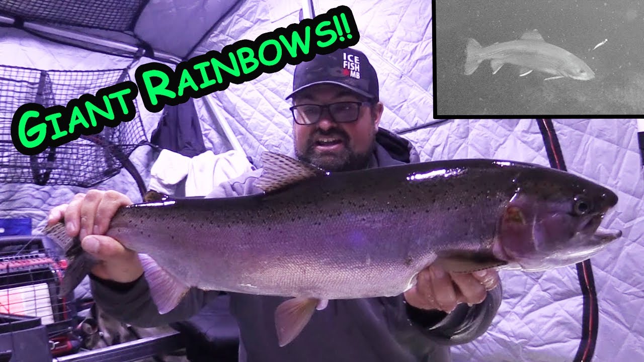 Ice Fishing for Giant Rainbow Trout | Northern Manitoba
