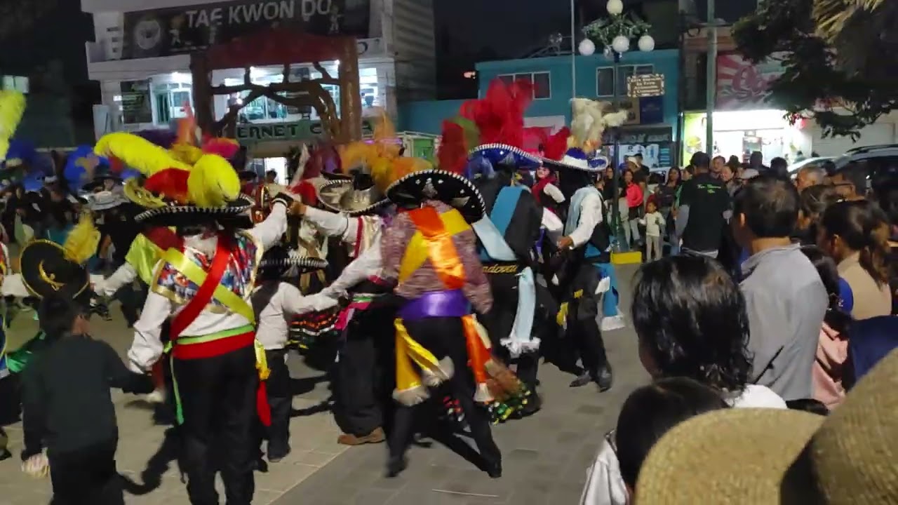 Carnaval San felipe hueyotlipan 2025