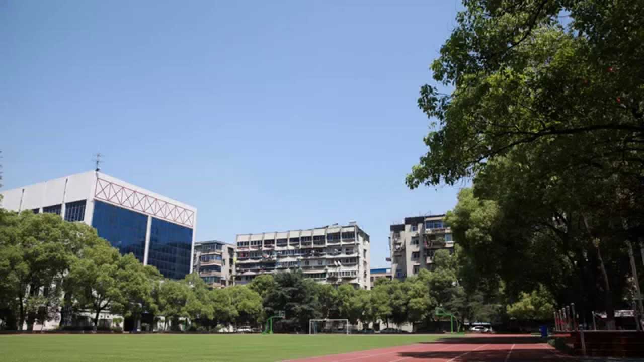武汉外国语学校50周年校庆-欧洲校友祝福视频