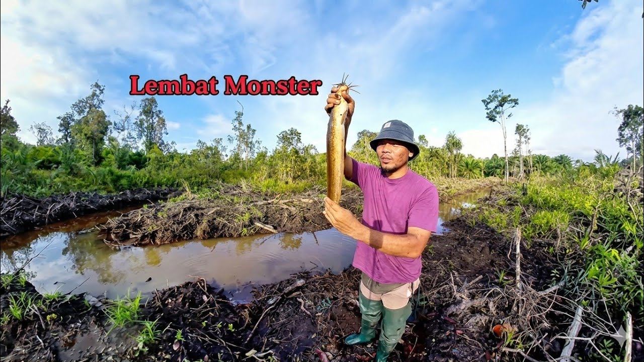 Solo 2 Hari Menahan bubu Lembat & Tajul #fishing #survival 