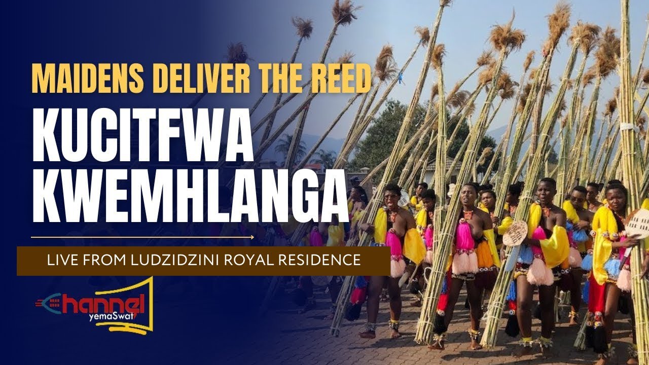 Kucitfwa KweMhlanga || Umhlanga Ceremony || Arena dances