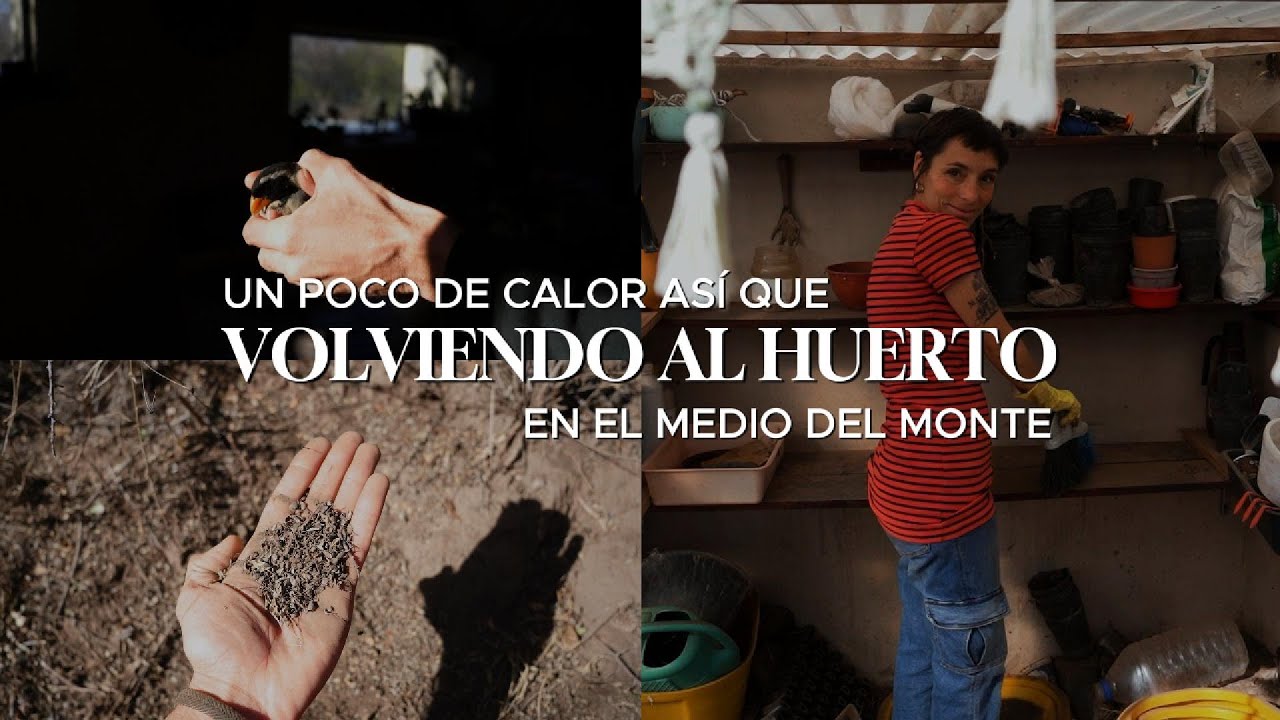 Meses sin tocar la huerta… y un visitante que nos sorprendió 🐦 RESCATE EN NUESTRA CASA EN EL MONTE