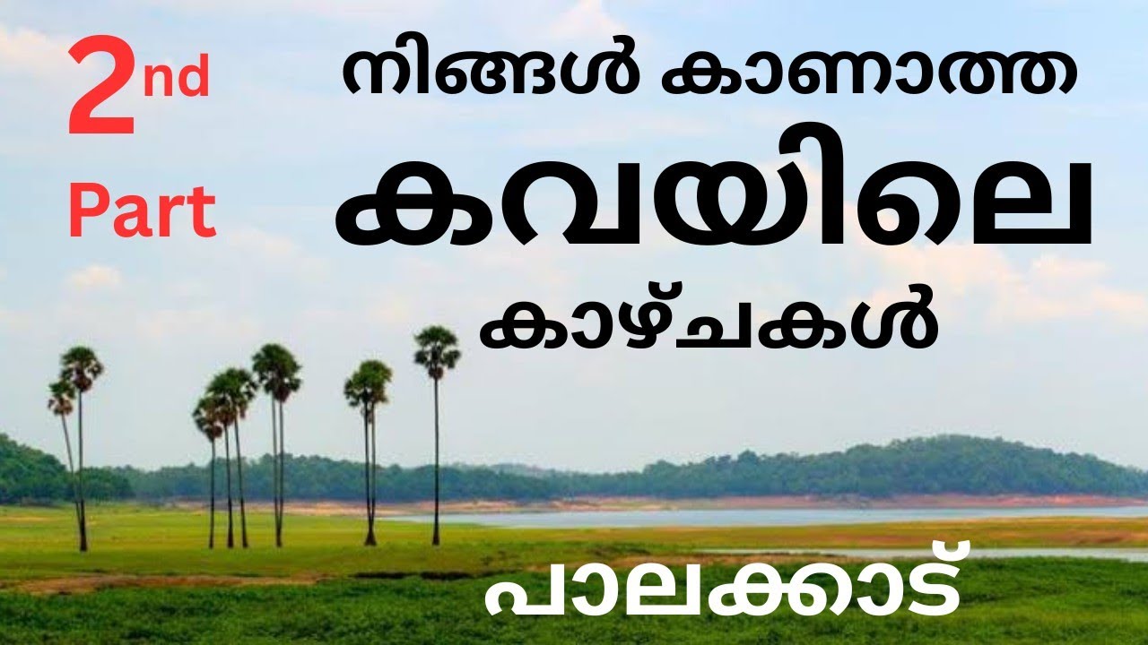 Kava Island - Malampuzha - Palakkad  #kerala #travel #palakkad 