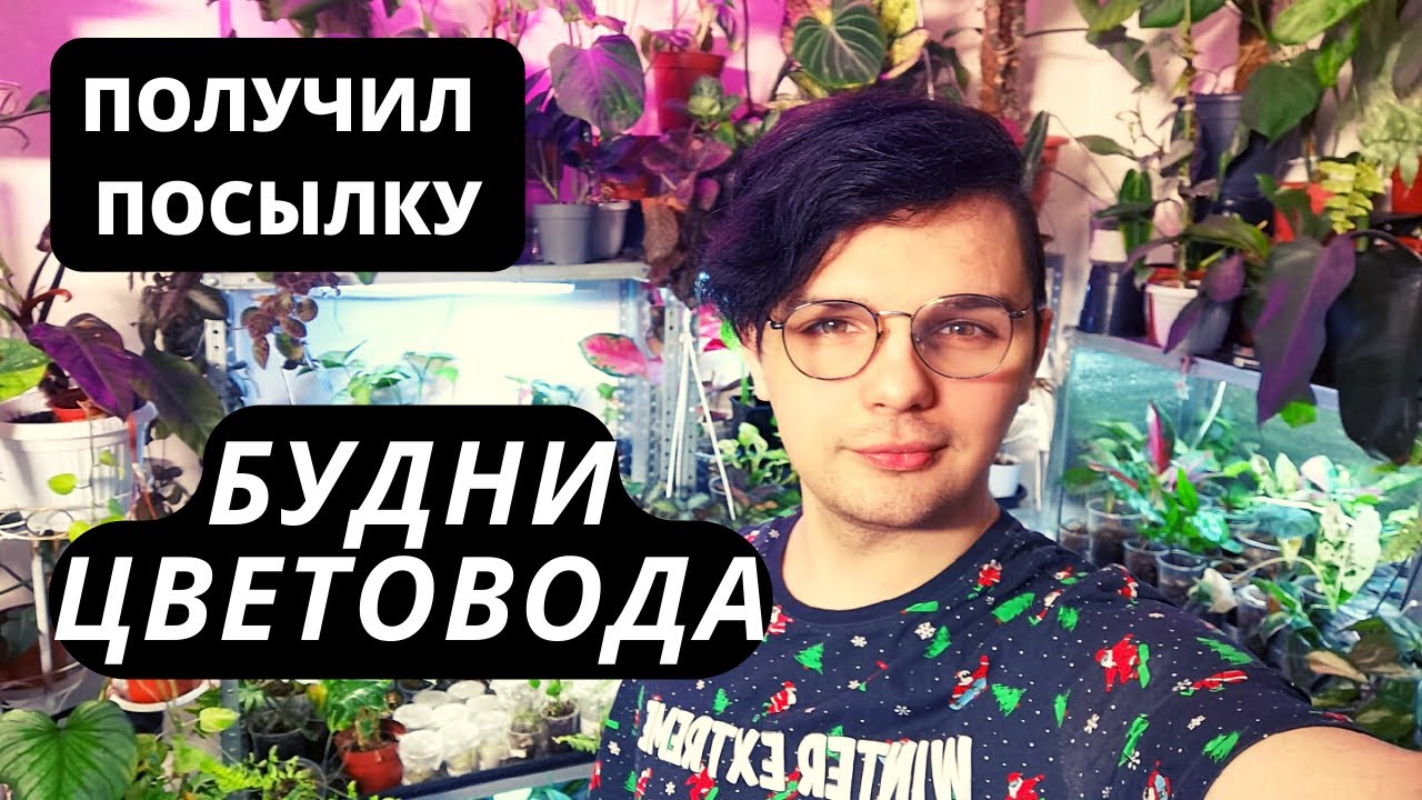 МОИ БУДНИ, КАК ЖЕ Я УСПЕВАЮ УХАЖИВАТЬ ЗА ОРАНЖЕРЕЕЙ? Кого я кидаю в чс?