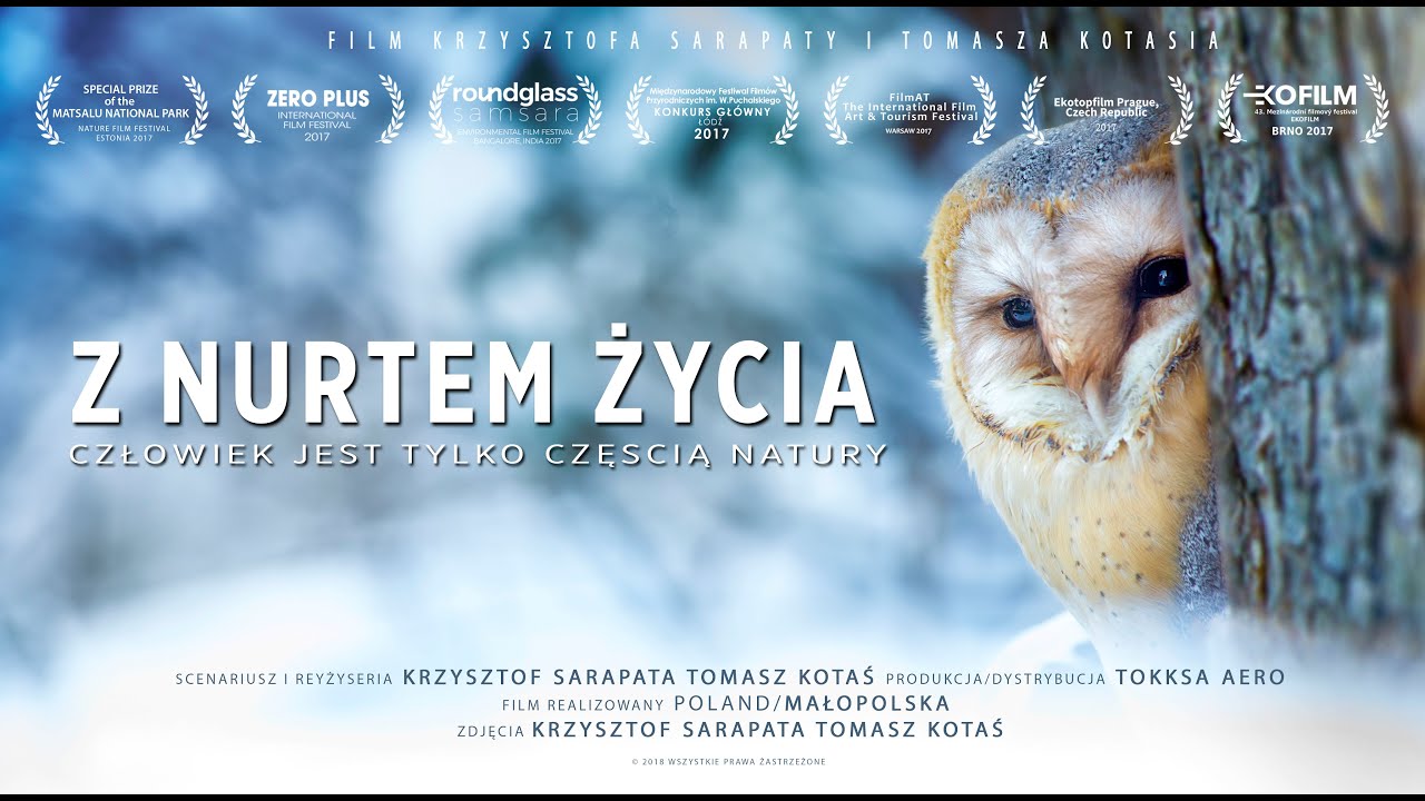 Z Nurtem Życia | OST | Soundtrack by Marek Kubik (WeM Studio)