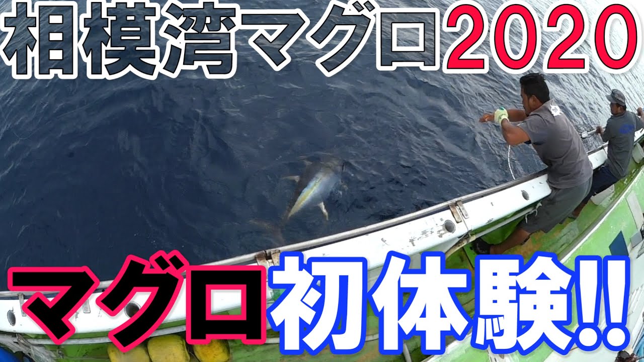 【相模湾マグロ2020】ビーストマスター3000XPでマグロ初体験真剣勝負！【ラスト１投のドラマ】（2020/09/16）長三朗丸