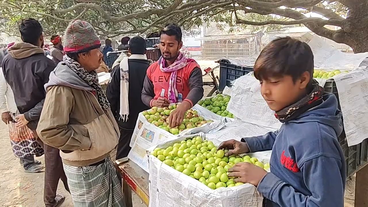 আমের বদলে বরই চাষে বদলে যাচ্ছে চাঁপাইনবাবগঞ্জের অর্থনীতি