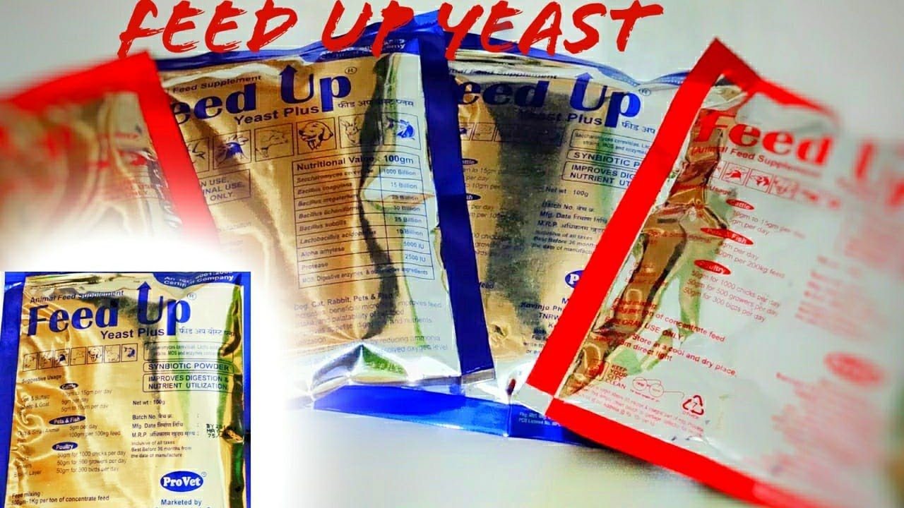 FEED UP YEAST  PLUS  ഞാൻ ഉപയോഗിക്കുന്നു എന്ന നിങ്ങൾക്കും ഫാം വിജയകരമായി മാറ്റുവാൻ കഴിയും