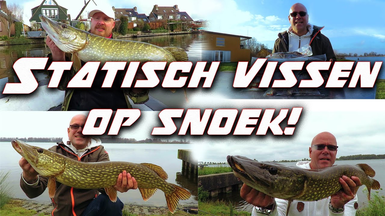 statisch  vissen op snoek!