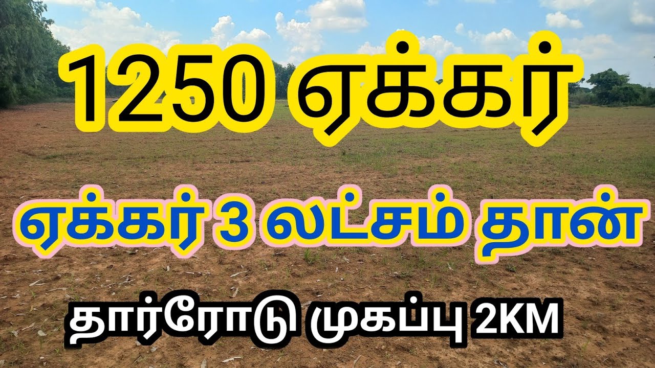ஏக்கர் 3 லட்சம் மட்டும் 😱🙄 ! மிக மிக குறைந்த விலையில் புஞ்சை செம்மண் நிலம் #Landlots #landlord #agri