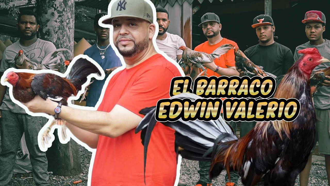 EDWIN VALERIO EL MARTILLERO BM  SUS INICIOS 1/2