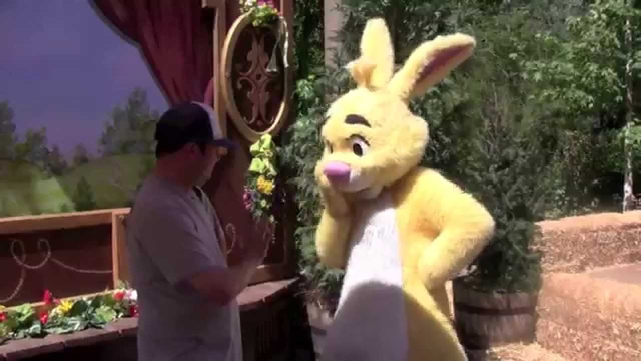 Meeting Rabbit