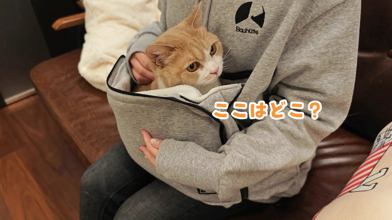 愛猫をポケットに入れると幸せの温もりでした【にゃんガルーパーカー】