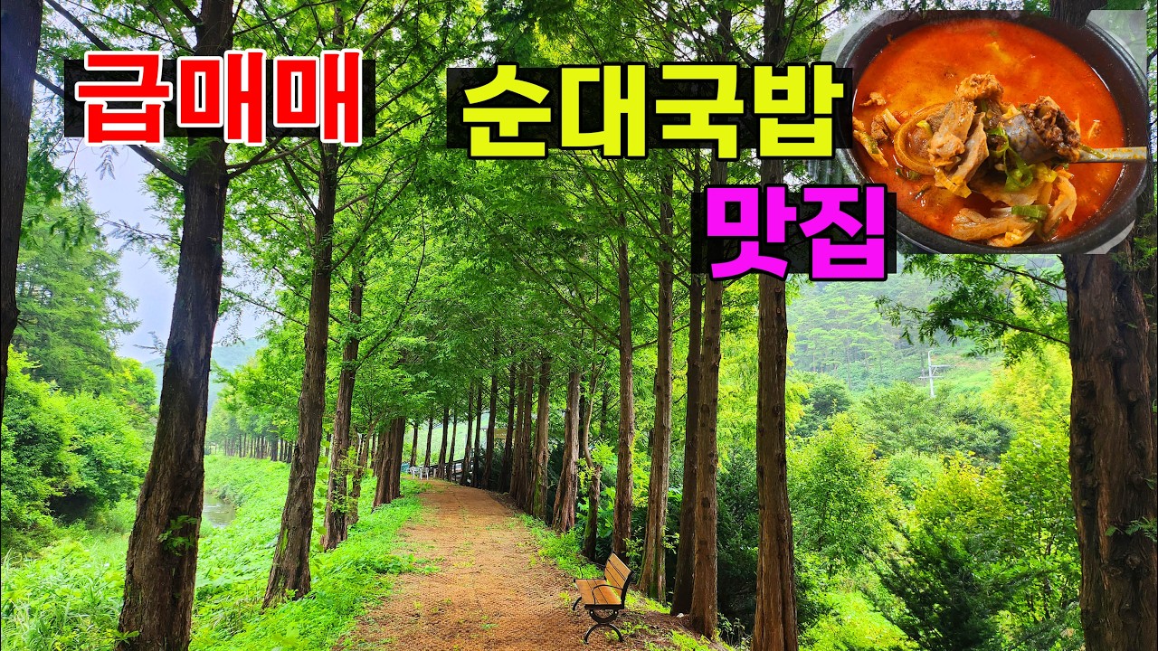 (초초 급매매)🚨시골에 오셔서 순대국밥 맛집 한번 해보실래요? 🚩급매가로 드리는  맛집식당 매물!