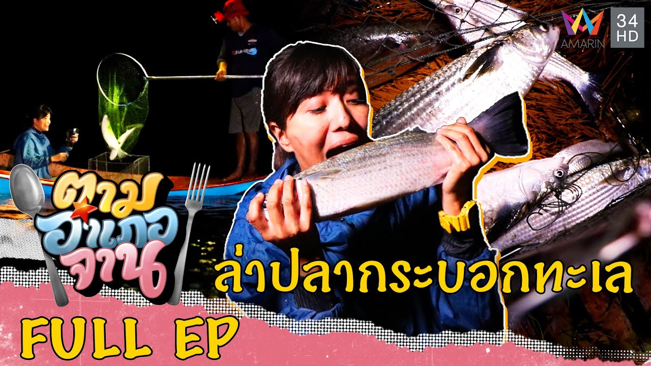 ปลากระบอกทะเล บ้านท่าเลน จ.กระบี่ | ตามอำเภอจาน | 18 ก.พ.66 Full EP