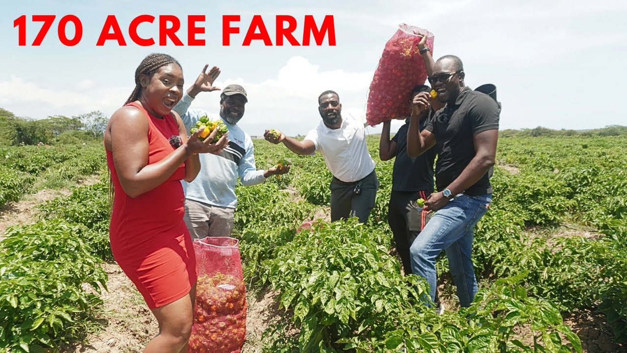 From coperate execs to farming entrepreneurs operating multi MILL💰 dollar farm in their parish