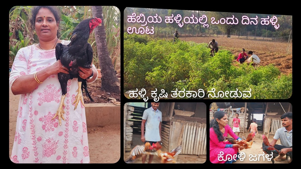 village life in hebri