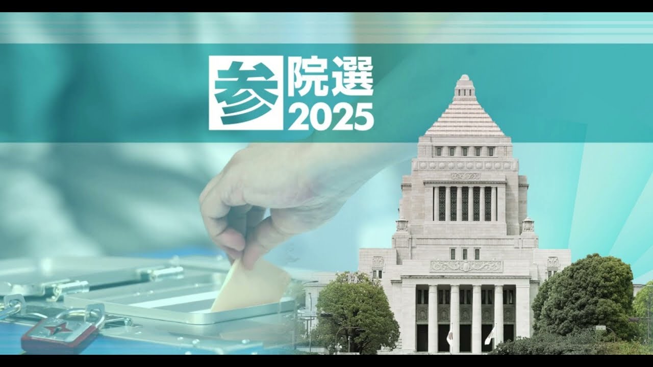 Japan&rsquo;s 2025 upper house election Pre-election Analysis