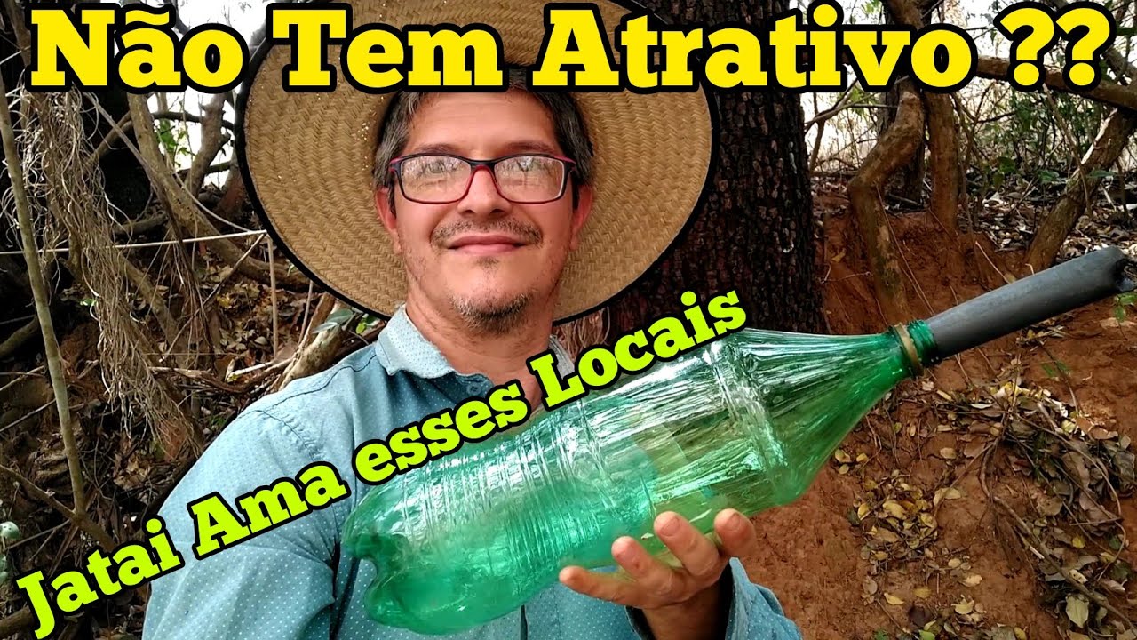 LOCAIS QUE VC PODE CAPTURAR ABELHA JATAI MAIS FÁCIL...
