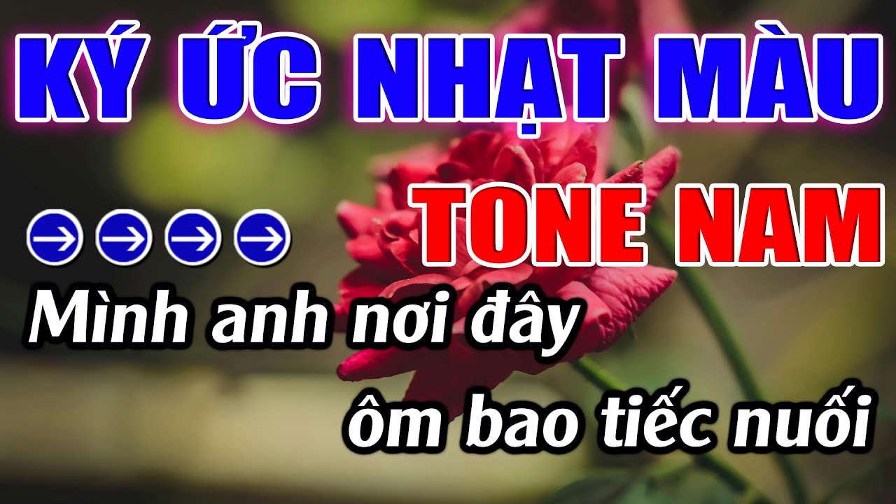 Ký Ức Nhạt Màu Karaoke Tone Nam Karaoke Lâm Beat - Beat Mới