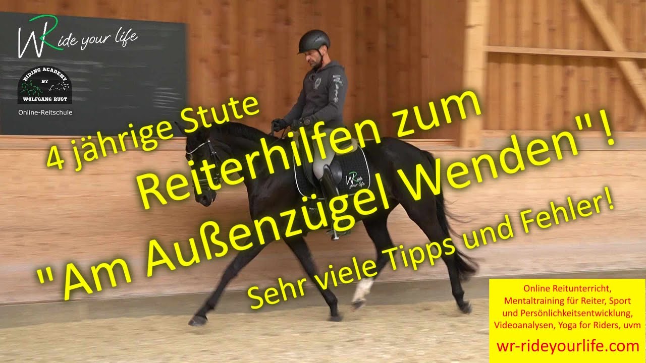 F172 Junge Pferde am Au&szlig;enz&uuml;gel reiten lernen, Reiterhilfen, Anlehnung, Galopp richtig reiten lernen