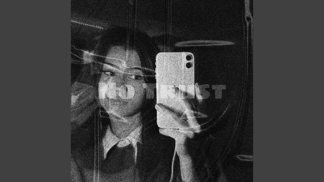 No Trust (feat. Melay) (Remix)