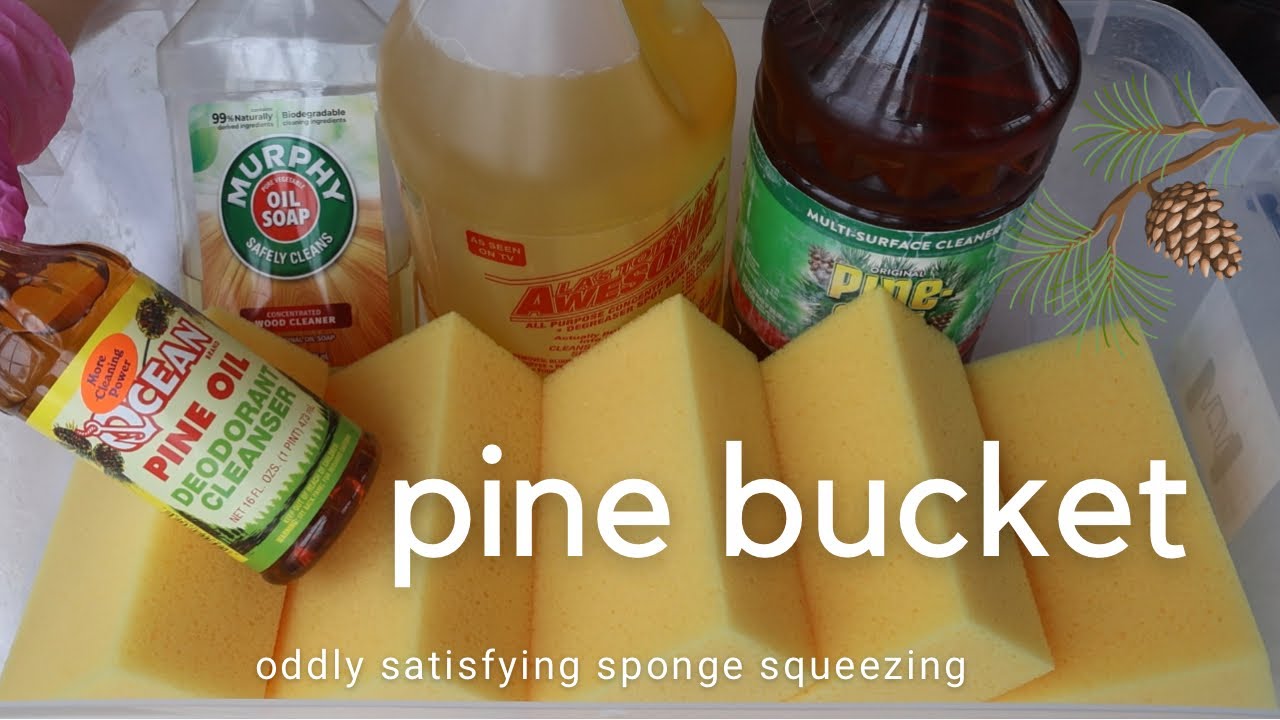 Pine Bucket!! + New Sponges • Oddly Satisfying Sponge Squeezing