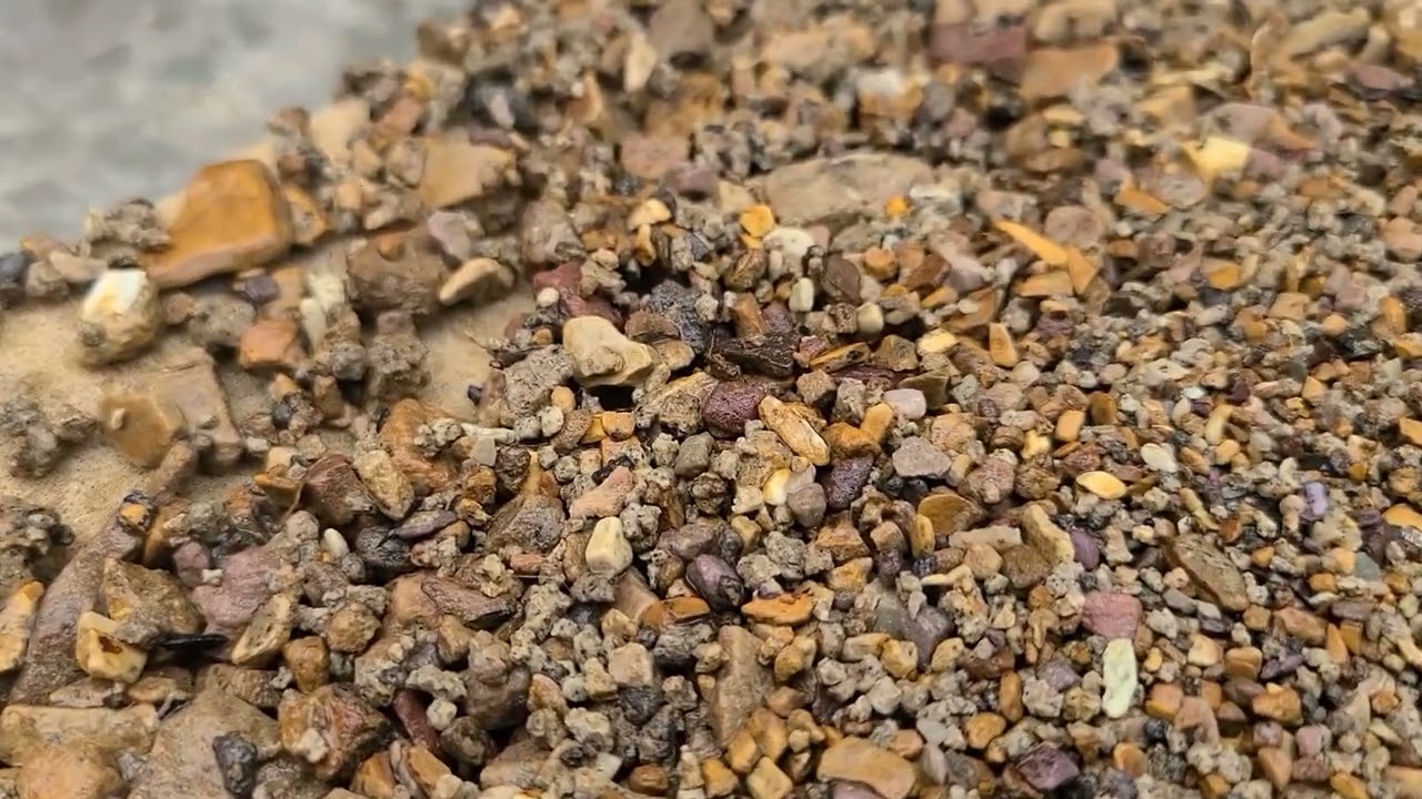 Montana Sapphires from Gem Mountain.