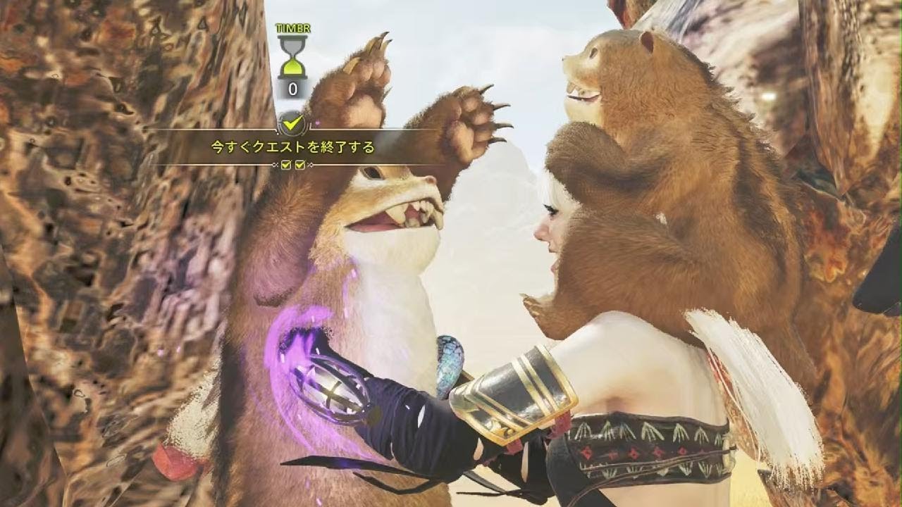 Monster Hunter Wilds 護石周回 アルシュベルド×セルレギオス
