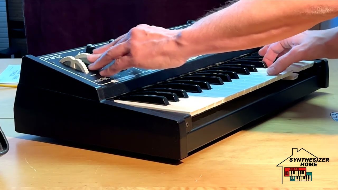 MOOG ROGUE (1981)